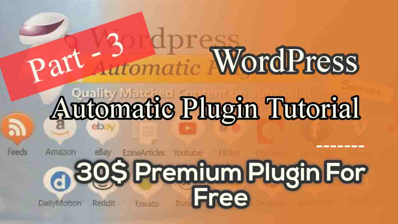 WordPress Automatic Plugin update : Complete Guide